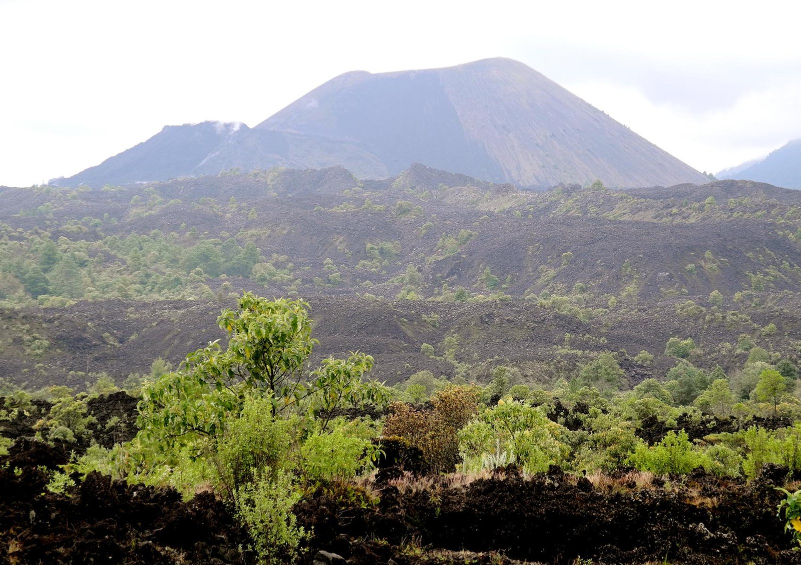 Volcán Paricutín y paisaje volcánico de Michoacán